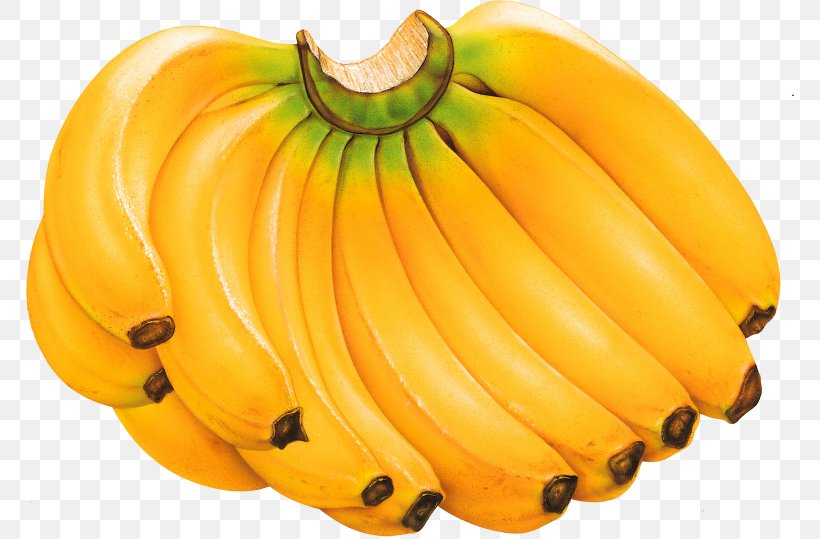 Banana Desktop Wallpaper Clip Art, PNG, 768x539px, Banana, Banana Family, Calabaza, Cooking Banana, Cooking Plantain Download Free