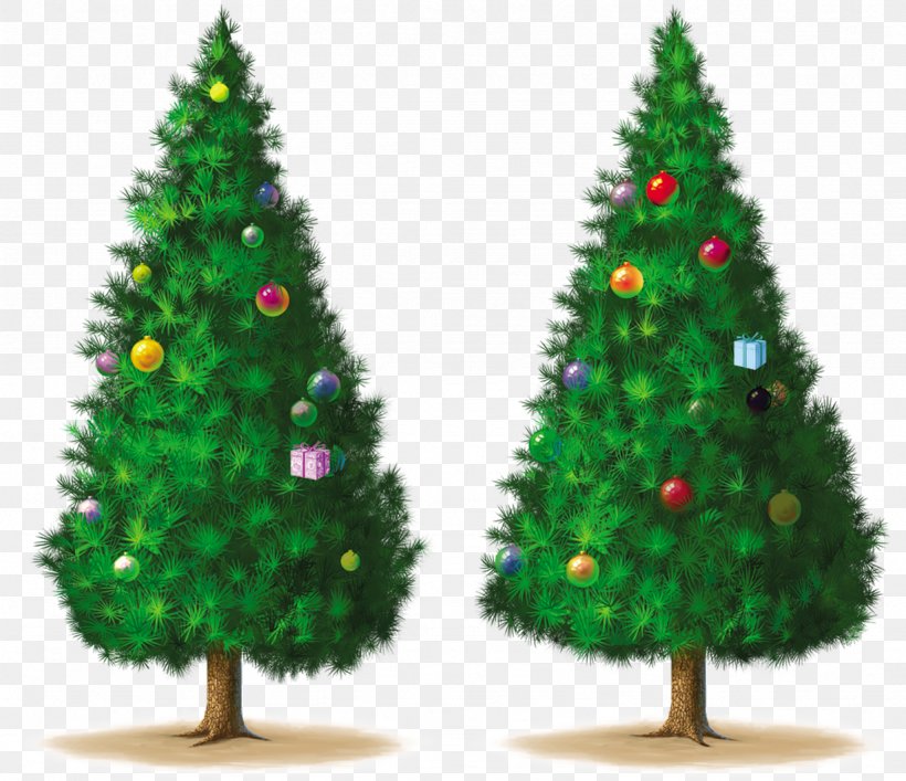 Christmas Tree Spruce Pine, PNG, 1229x1060px, Christmas Tree, Advent, Blog, Bombka, Christmas Download Free