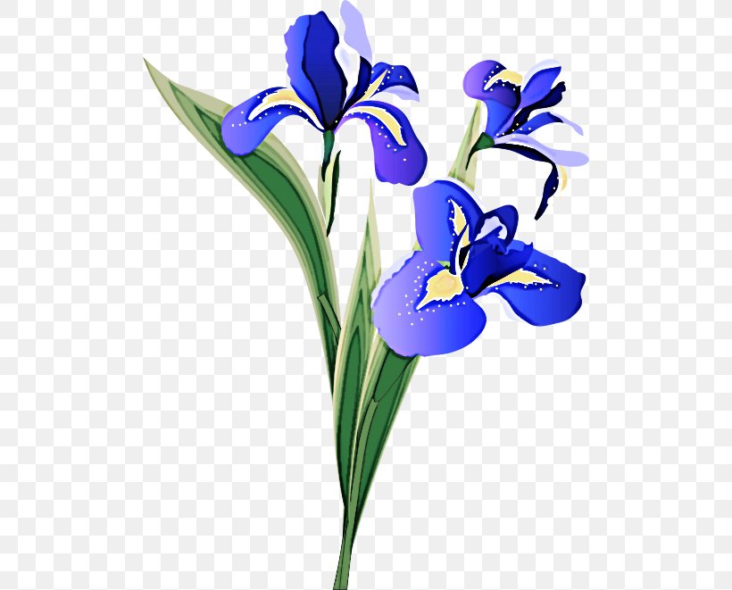 Flower Flowering Plant Plant Petal Iris Reticulata, PNG, 500x661px, Flower, Cut Flowers, Flowering Plant, Iris, Iris Family Download Free