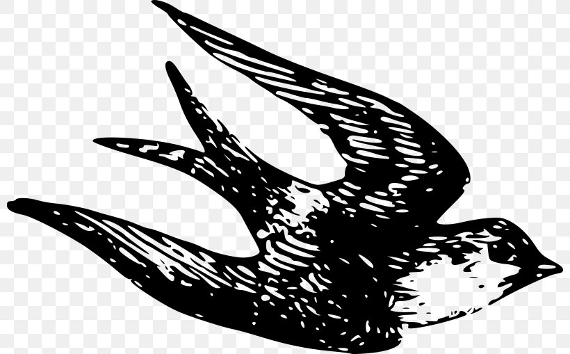 House Sparrow Bird Clip Art, PNG, 800x509px, Sparrow, Art, Beak, Bird, Black And White Download Free