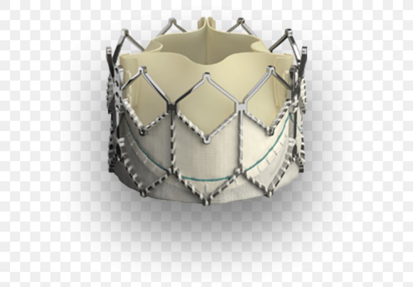 Percutaneous Aortic Valve Replacement Artificial Heart Valve, PNG, 602x570px, Heart Valve, Aorta, Aortic Stenosis, Aortic Valve, Aortic Valve Replacement Download Free