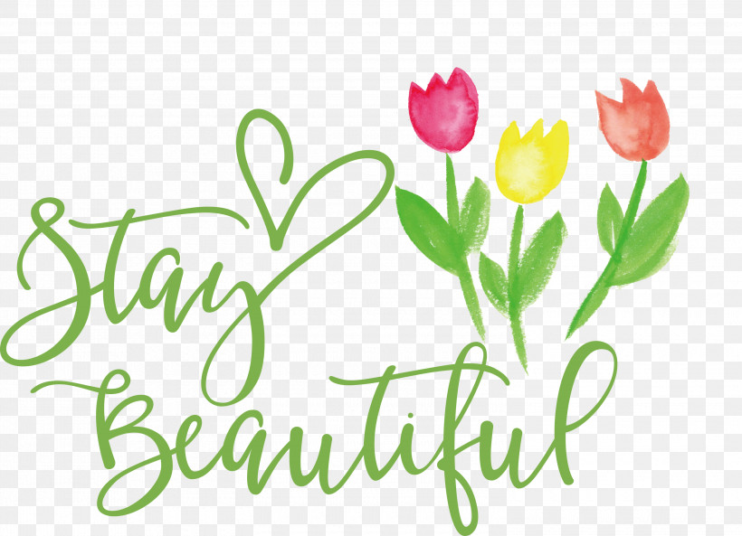 Stay Beautiful Fashion, PNG, 3000x2172px, Stay Beautiful, Biology, Cut Flowers, Fashion, Floral Design Download Free
