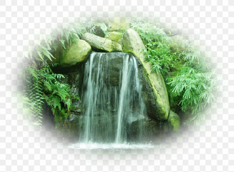 Tat Sae Waterfalls Photography Desktop Wallpaper, PNG, 892x656px, Photography, Face, Facial, Garden, Grass Download Free