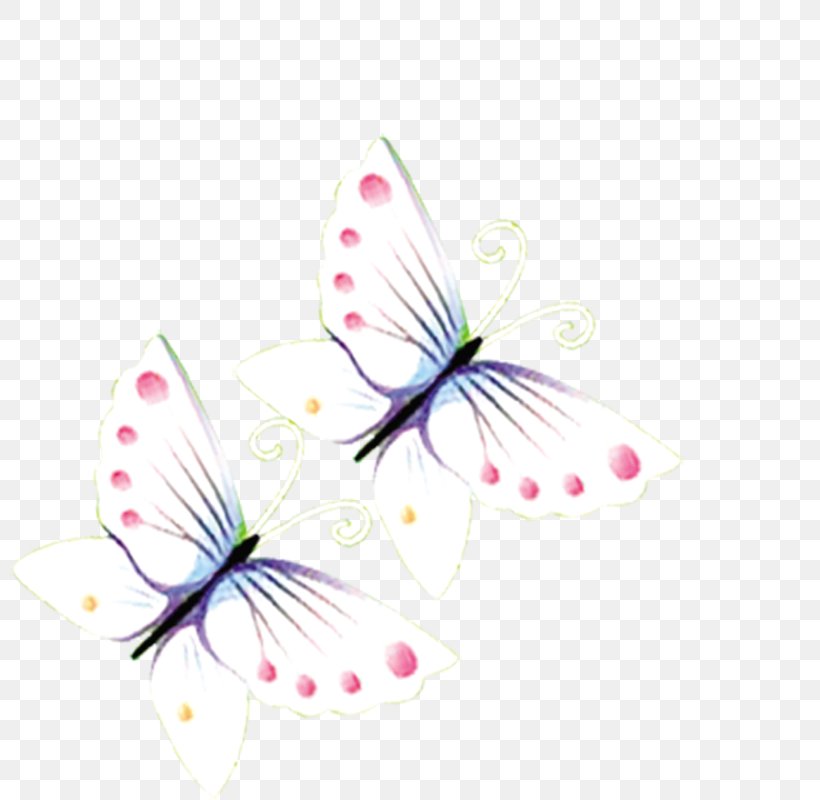 Butterfly White Transparency And Translucency, PNG, 800x800px, Butterfly, Cartoon, Computer, Dog, Flower Download Free