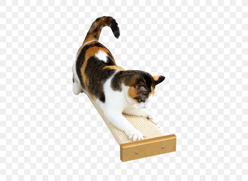 Cat Tree Scratching Post SmartCat Bootsies Combination Scratcher Pet, PNG, 600x600px, Cat, Carnivoran, Cat Like Mammal, Cat Play And Toys, Cat Tree Download Free