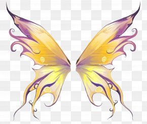 fairy wings images fairy wings transparent png free download fairy wings transparent png