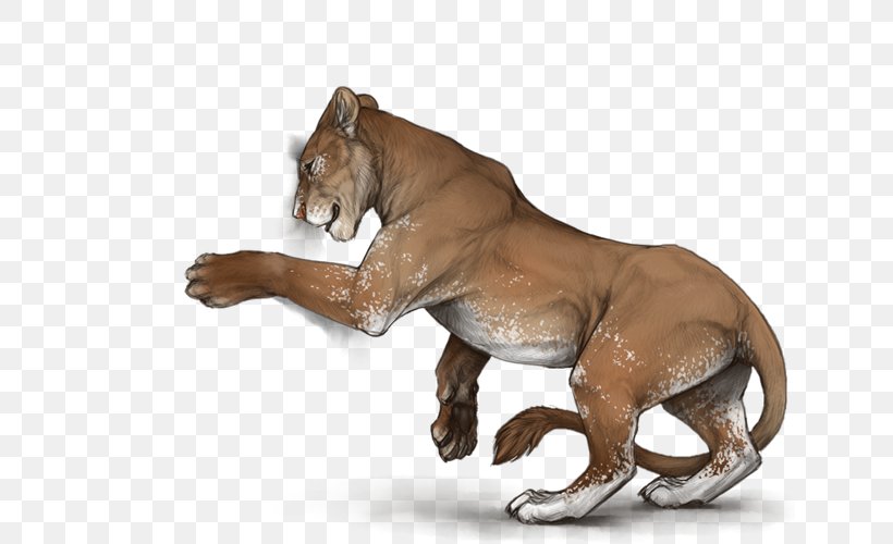 Lion Mane Mustang Big Cat, PNG, 640x500px, Lion, Adolescence, Animal, Big Cat, Big Cats Download Free