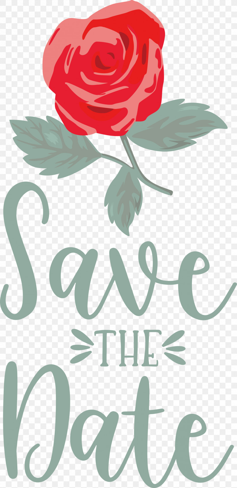 Save The Date Wedding, PNG, 1461x3000px, Save The Date, Cut Flowers, Floral Design, Flower, Garden Download Free
