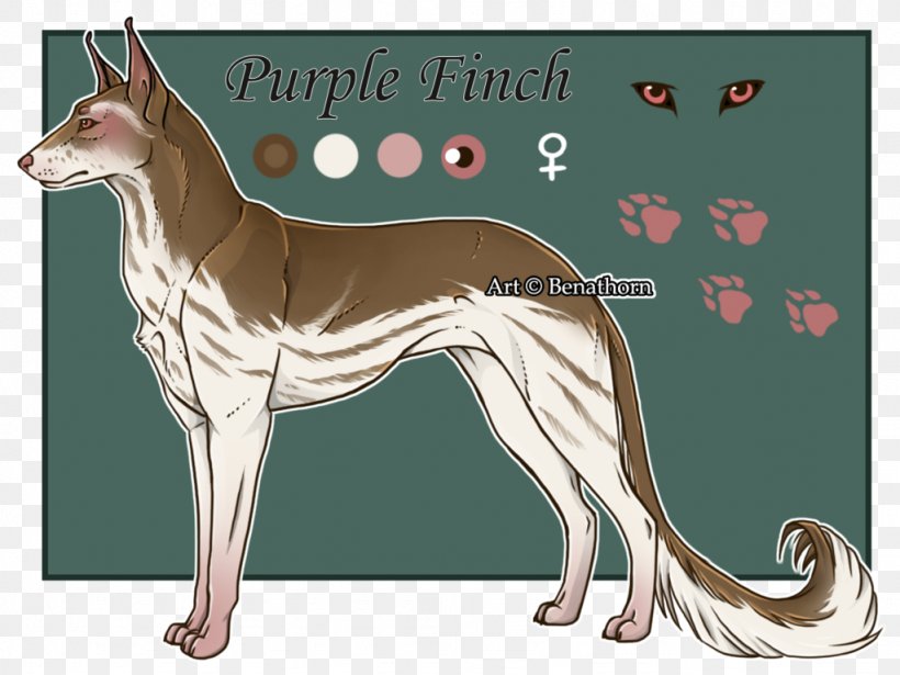 Whippet Italian Greyhound Ibizan Hound Dog Breed, PNG, 1024x768px, Whippet, Animated Cartoon, Breed, Carnivoran, Dog Download Free