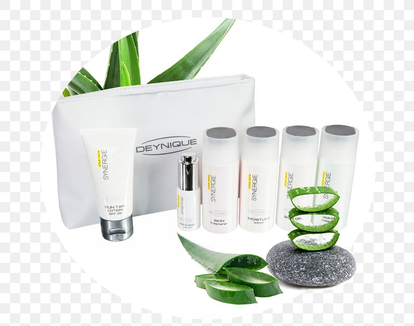 Aloe Vera Forever Living Products Flowerpot, PNG, 693x645px, Aloe Vera, Aloes, Flowerpot, Forever Living, Forever Living Products Download Free