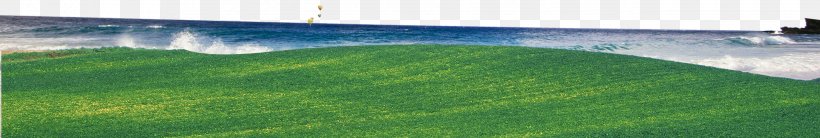 Artificial Turf Landscape Lawn Landscaping Land Lot, PNG, 2530x427px, Artificial Turf, Energy, Family, Field, Grass Download Free