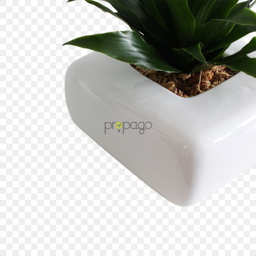Flowerpot Plant, PNG, 1000x1000px, Flowerpot, Plant Download Free