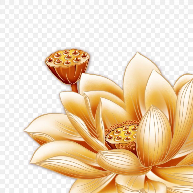 Mooncake Nelumbo Nucifera Cdr, PNG, 1559x1559px, Mooncake, Cdr, Dahlia, Daisy Family, Floral Design Download Free