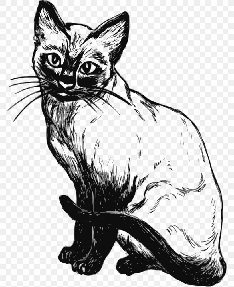Siamese Cat Kitten Drawing Sketch, PNG, 768x1002px, Siamese Cat, Animal, Art, Artwork, Black And White Download Free
