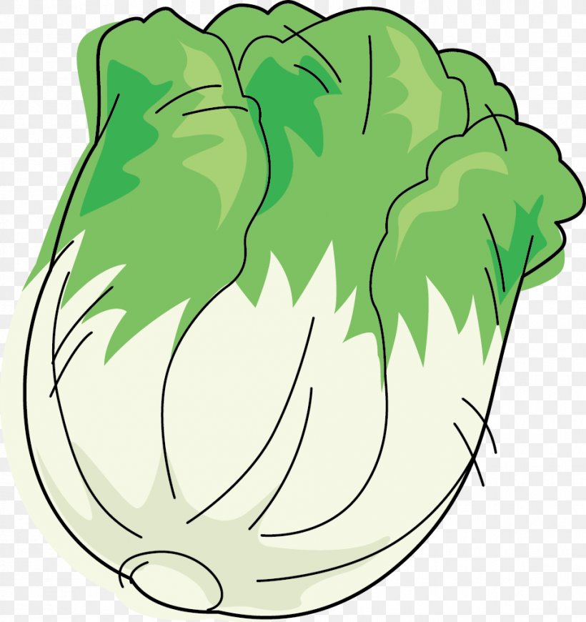 Leaf Vegetable Napa Cabbage Cartoon, PNG, 955x1014px, Leaf Vegetable, Animation, Area, Art, Artwork Download Free