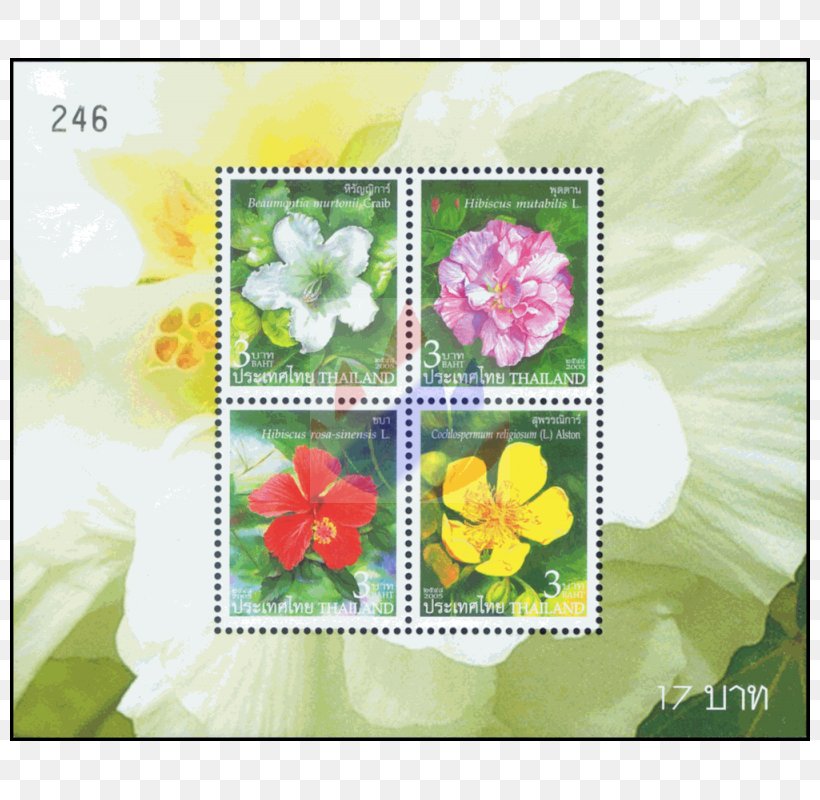 Postage Stamps New Year First Day Of Issue Flower 0, PNG, 800x800px, 2005, Postage Stamps, Broken Flowers, Confederate Rose, Edition Download Free