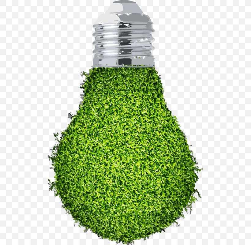 Renewable Energy Energy Conservation Illustration, PNG, 506x800px, Renewable Energy, Energy, Energy Conservation, Evergreen, Grass Download Free