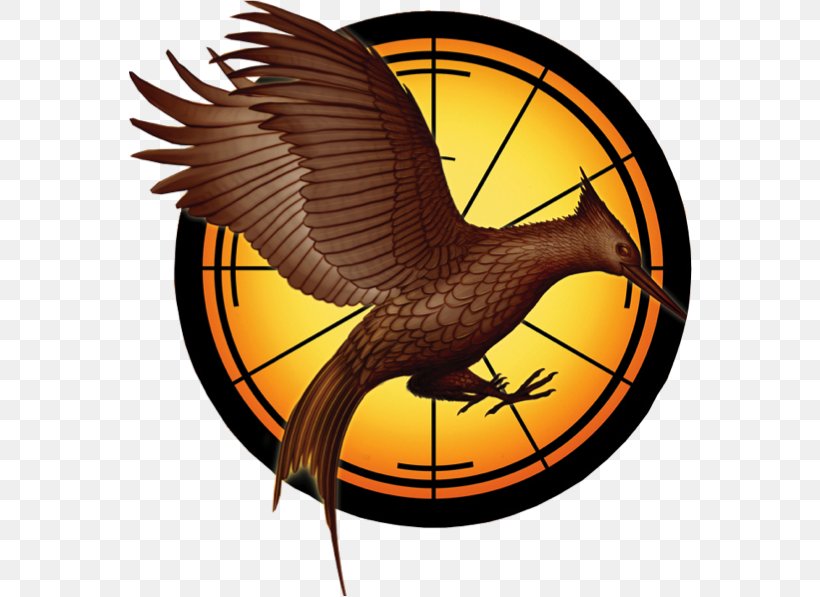 Catching Fire The Hunger Games Peeta Mellark Finnick Odair Katniss Everdeen, PNG, 564x597px, Catching Fire, Beak, Bird, Book, Film Download Free