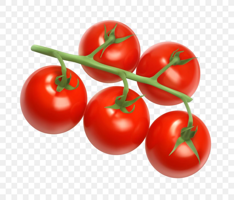 Cherry Tomato Tomato Juice Vegetable Clip Art, PNG, 700x700px, Cherry Tomato, Bush Tomato, Cherry, Diet Food, Eggplant Download Free