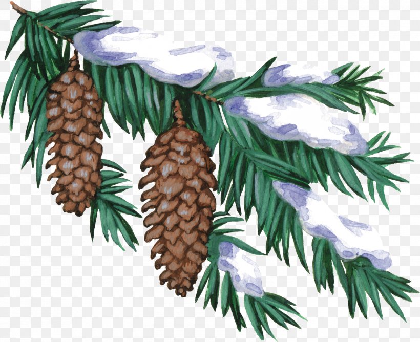 Christmas Winter New Year Tree Albom Clip Art, PNG, 1500x1223px, Christmas, Albom, Blog, Branch, Christmas Ornament Download Free