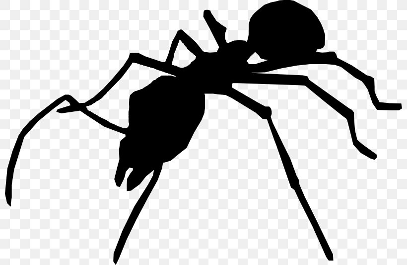 Fly Ant Silhouette Insect Myrmecia Nigriceps, PNG, 800x533px, Fly, Animal, Ant, Arthropod, Artwork Download Free