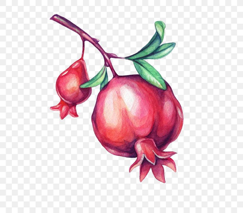 Illustrator Illustration Pomegranate Art Painting, PNG, 700x719px, Illustrator, Abstraction, Apple, Art, Beet Download Free