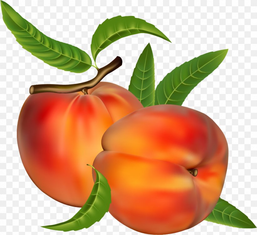 Peach Fruit Clip Art, PNG, 1162x1063px, Peach, Accessory Fruit, Apple, Apricot, Diet Food Download Free