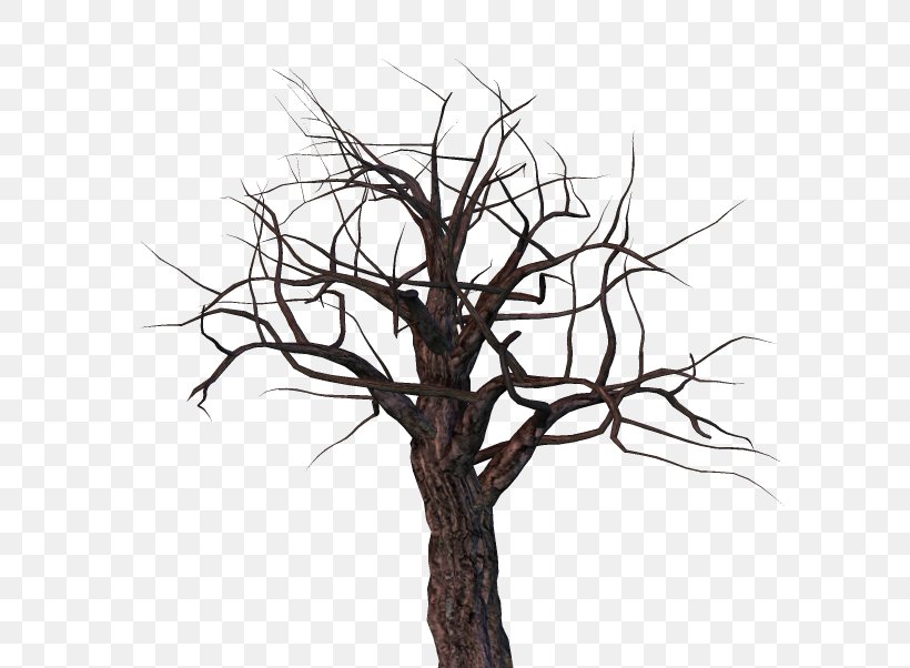 Twig Tree Snag Branch, PNG, 600x602px, Twig, Black And White, Branch, Brush, Halloween Download Free