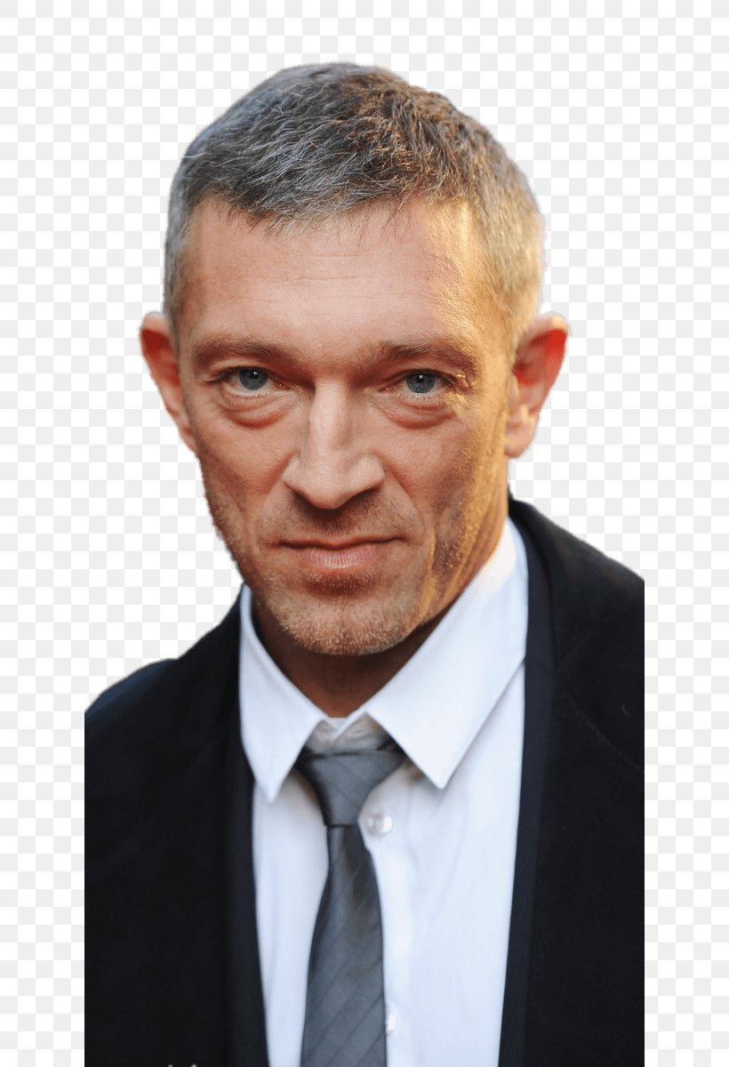 Vincent Cassel France Shrek Actor Film, PNG, 630x1200px, Vincent Cassel ...