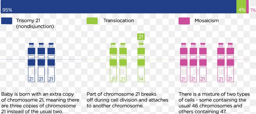 World Down Syndrome Day Chromosome 21 Usher Syndrome, PNG, 1600x716px, Down Syndrome, Area, Brand, Chromosomal Translocation, Chromosome Download Free