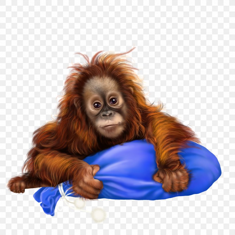 Orangutan Monkey Photography Clip Art, PNG, 1500x1500px, 3d Computer Graphics, Orangutan, Animal, Fur, Great Ape Download Free