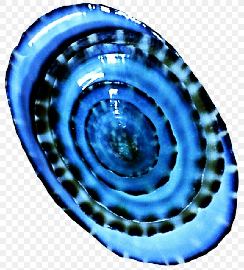 Art Limpet Seashell Electric Blue Cobalt Blue, PNG, 849x940px, Art, Artist, Blue, Cobalt Blue, Community Download Free