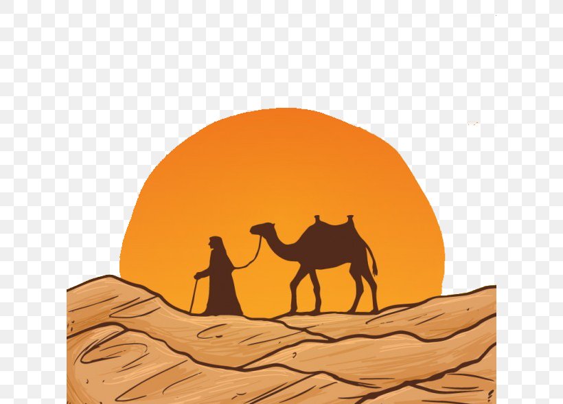 Camel Desert Drawing Euclidean Vector, PNG, 626x588px, Camel, Arabian Camel, Camel Like Mammal, Desert, Drawing Download Free