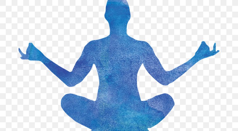 Kripalu Center Congress Heights Arts And Culture Center Yoga Silhouette Physical Fitness, PNG, 720x450px, Kripalu Center, Amrit Desai, Figurine, Joint, Organism Download Free