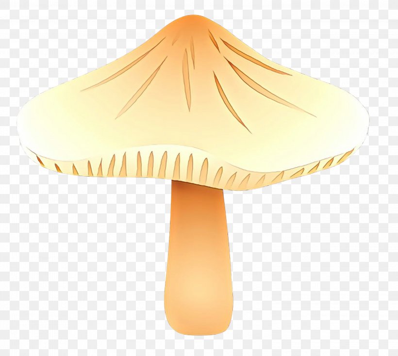 Product Design Orange S.A., PNG, 3000x2687px, Orange Sa, Lamp, Lampshade, Lighting Accessory, Mushroom Download Free