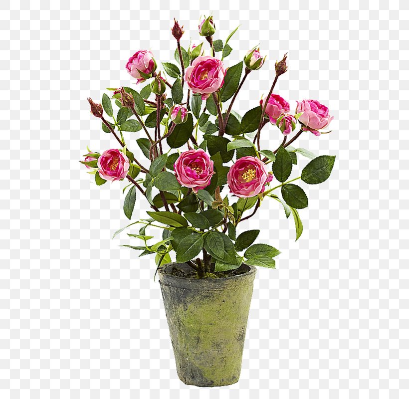 Cut Flowers Rose Flower Garden, PNG, 800x800px, Cut Flowers, Artificial Flower, Floral Design, Floristry, Flower Download Free