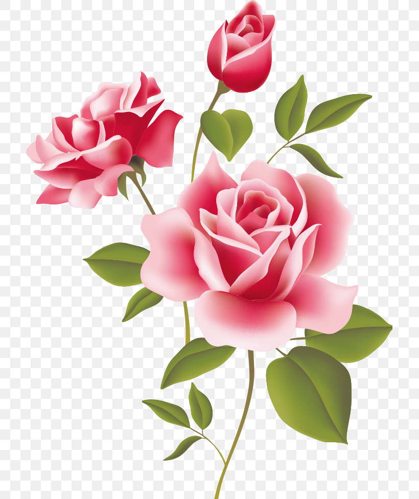 Three Flowers Three Roses Valentines Day, PNG, 717x976px, Three Flowers, Artificial Flower, Bouquet, Branch, Bud Download Free
