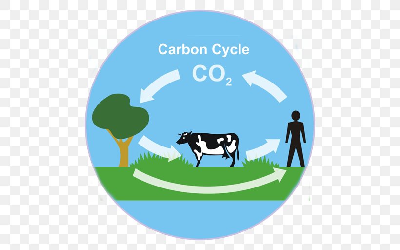 Carbon Cycle Carbon Dioxide Biogeochemical Cycle Photosynthesis, PNG, 512x512px, Carbon Cycle, Area, Atmosphere Of Earth, Biogeochemical Cycle, Biosphere Download Free