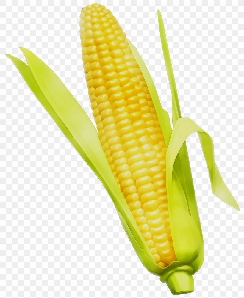 Corn On The Cob Corn Whiskey Cornbread Vegetarian Cuisine, PNG, 3550x4340px, Corn On The Cob, Anthurium, Bread, Corn, Corn Kernel Download Free