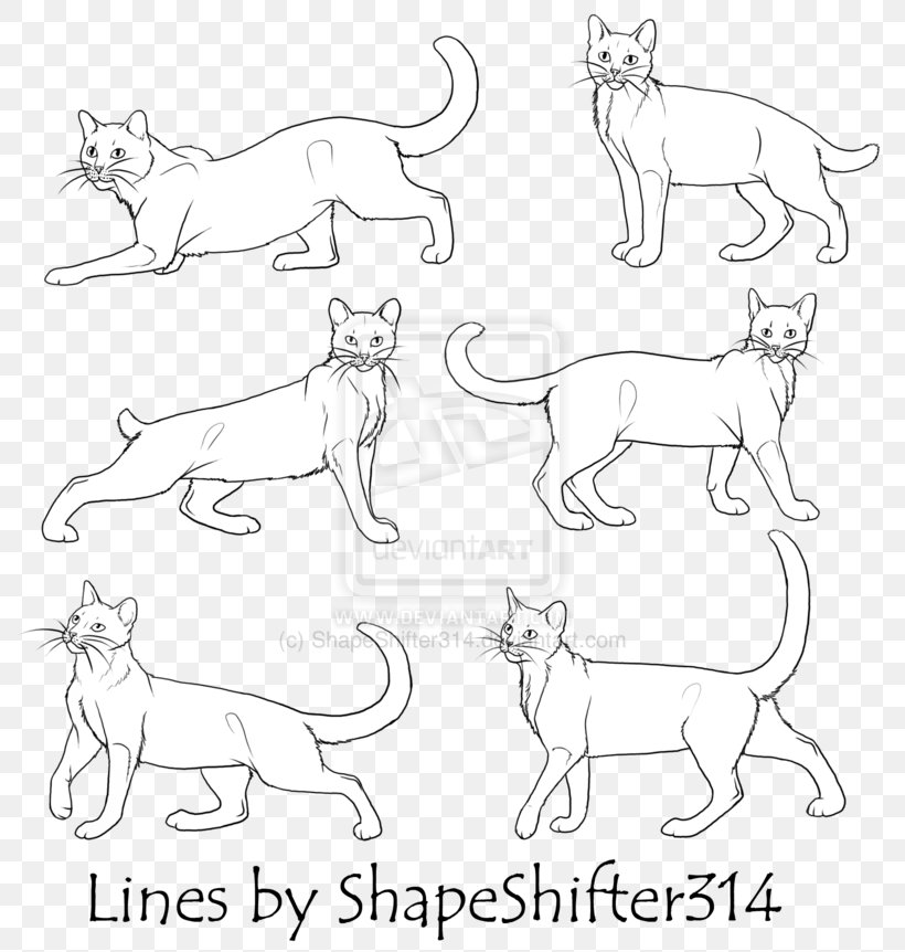 Horse Cat Dog Mammal Line Art, PNG, 800x862px, Horse, Area, Arm, Art, Artwork Download Free