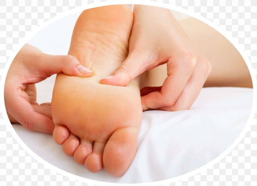 Reflexology Podiatry Foot Therapy Medicine, PNG, 4312x3132px, Reflexology, Child, Chiropractic, Finger, Foot Download Free