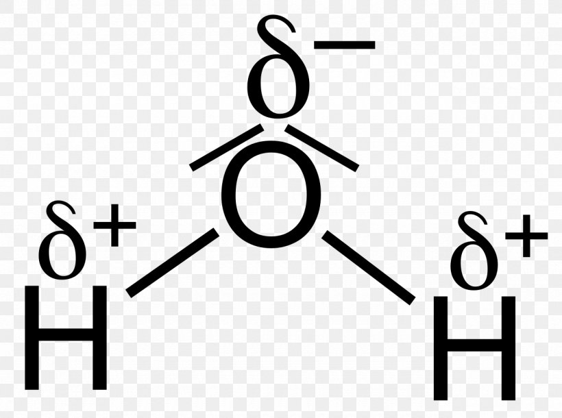 Chemical Polarity Partial Charge Water Lone Pair Electric Charge, PNG, 1280x953px, Chemical Polarity, Area, Atom, Bent Molecular Geometry, Black And White Download Free