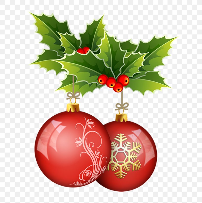 Christmas Ornament Common Holly SO2 Distribuzione Vini Naturali Christmas Carol, PNG, 700x825px, Christmas Ornament, Aquifoliaceae, Aquifoliales, Ball, Christmas Download Free