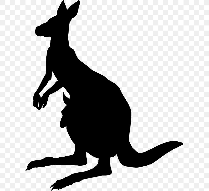 Hare Clip Art Fauna Silhouette Pet, PNG, 620x750px, Hare, Fauna, Kangaroo, Macropodidae, Marsupial Download Free