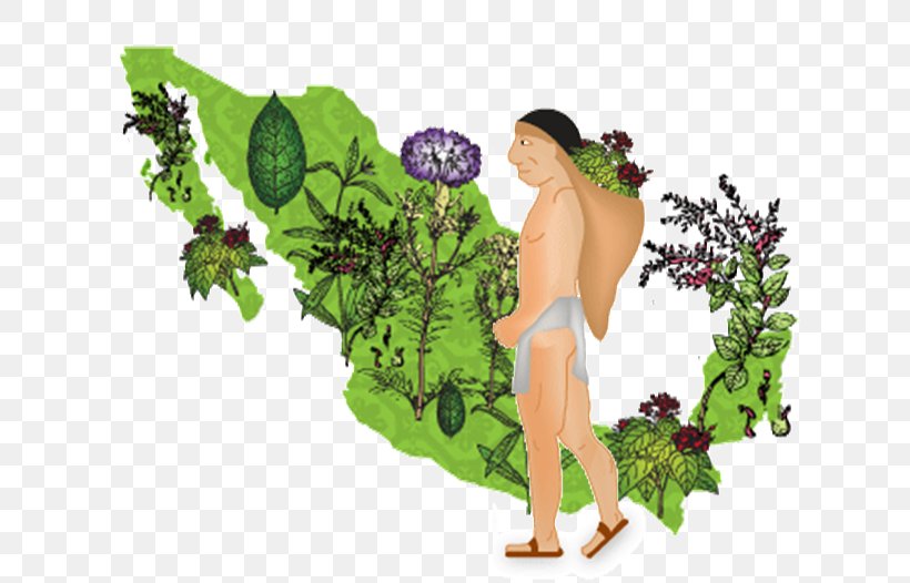Ixu Medicina Natural Traditional Medicine Knowledge Science, PNG, 632x526px, Medicine, Biology, Concept, Fictional Character, Flora Download Free