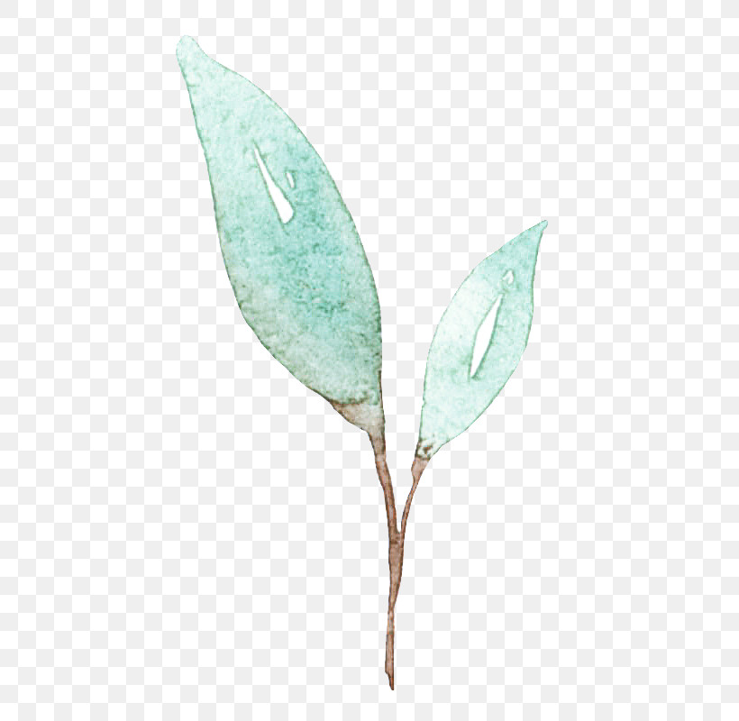Leaf Plant Stem Lilac / M Lilac M Turquoise, PNG, 500x800px, Leaf, Biology, Branching, Lilac M, Plant Stem Download Free