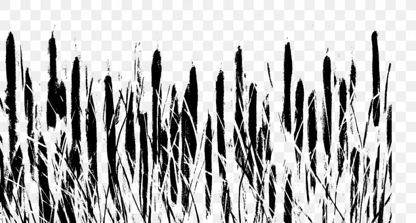 Pattern Desktop Wallpaper Grasses Computer Font, PNG, 1038x556px, Grasses, Black And White, Branch, Branching, Computer Download Free