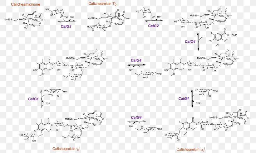 Block Copolymers Peptide Ring-opening Polymerization, PNG, 800x491px, Copolymer, Area, Cationic Polymerization, Diagram, Materials Science Download Free