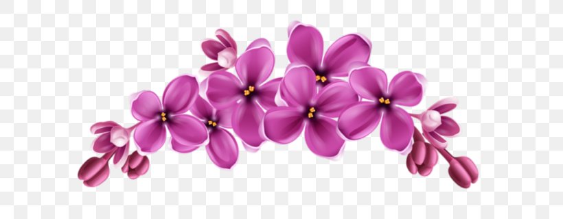 Cut Flowers Instagram Video, PNG, 640x320px, Flower, Blossom, Cut Flowers, Flowering Plant, Instagram Download Free