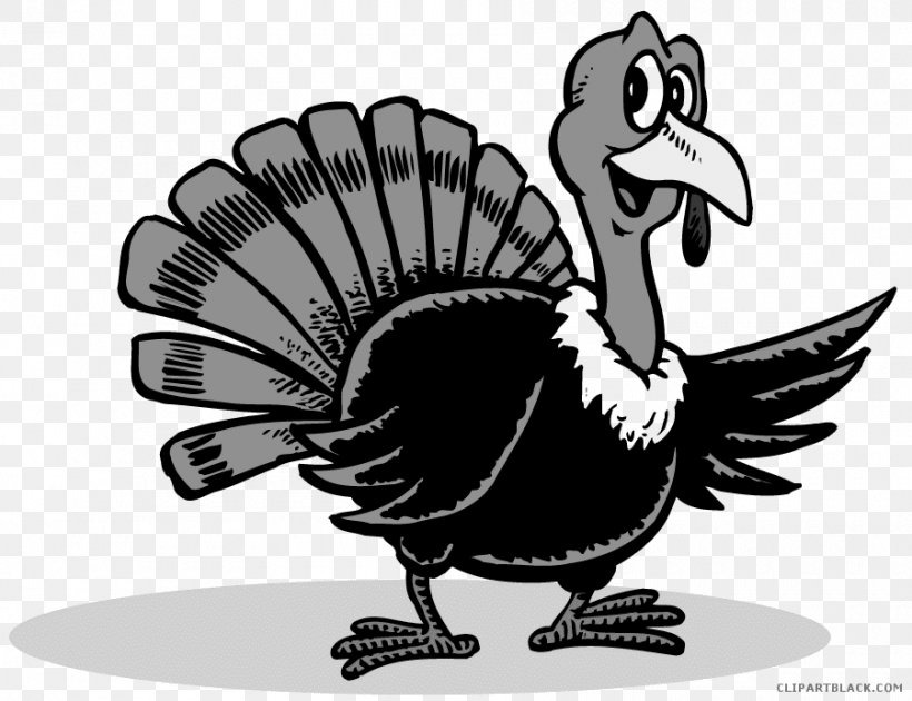 Domesticated Turkey Turkey Meat Thanksgiving Clip Art, PNG, 900x692px, Domesticated Turkey, Beak, Bird, Black And White, Cartoon Download Free